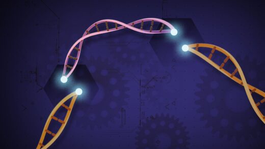 Teknologi CRISPR dan Rekayasa Genetik